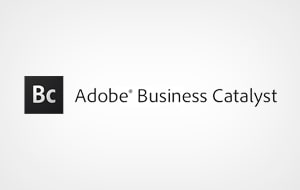 Adobe Business Catalyst